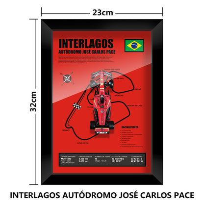 Charles Leclerc Track Model