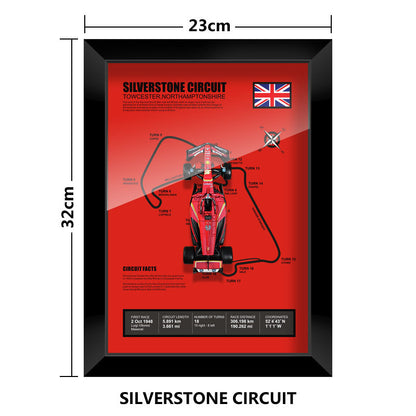 Charles Leclerc Track Model