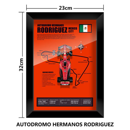 Charles Leclerc Track Model