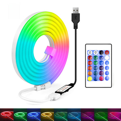Remote Control RGB Silicon Lights